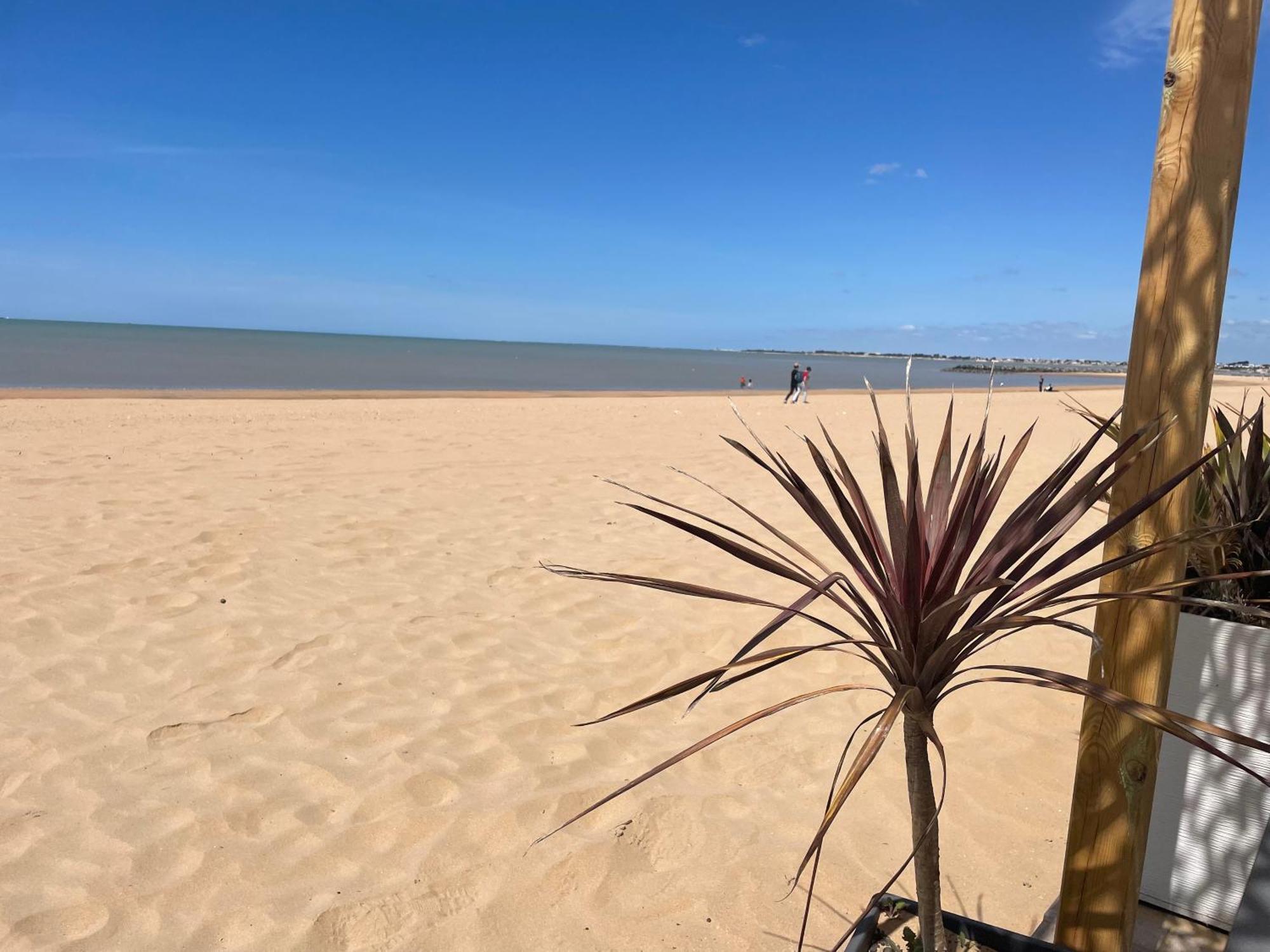 Acadie Saint Victor - Hotel Restaurant - Face Mer - Chatelaillon Plage Ngoại thất bức ảnh
